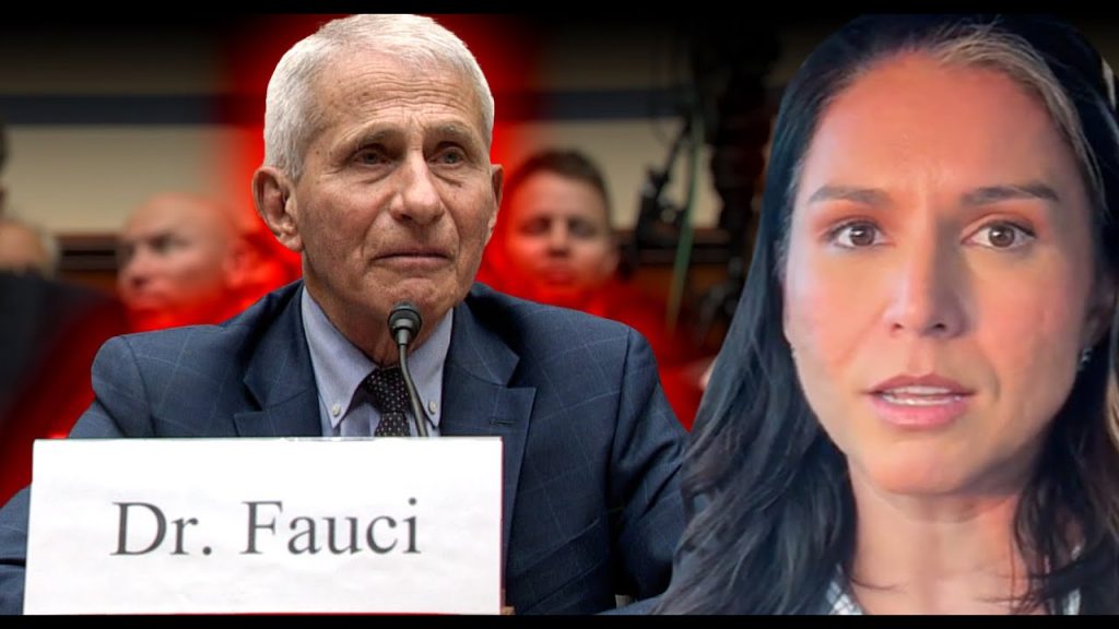 Tulsi Gabbard Reacts To Dr. Fauci’s Hearing