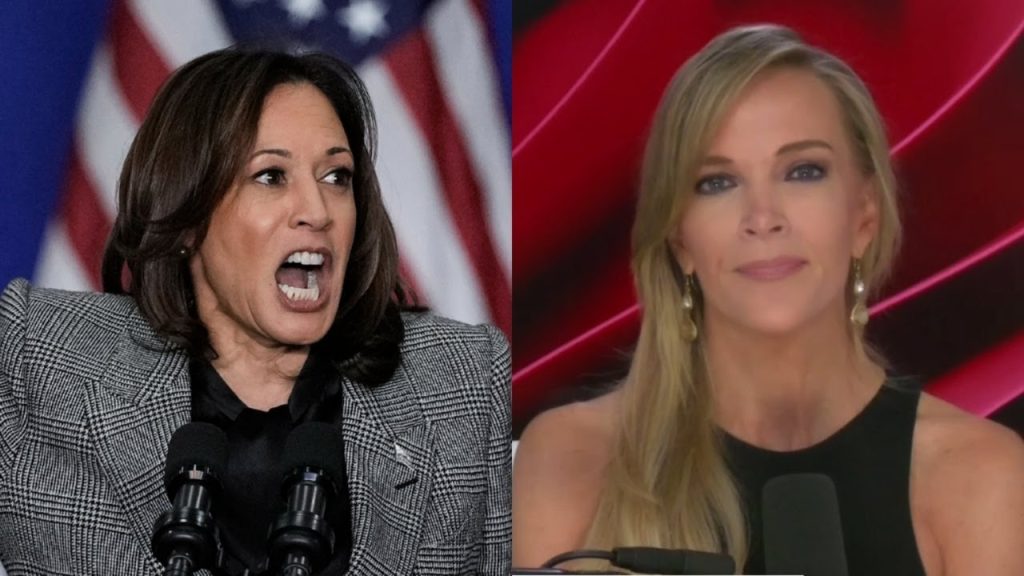 ‘Moronic’: Megyn Kelly slams Kamala Harris over her ‘word salad’ speeches