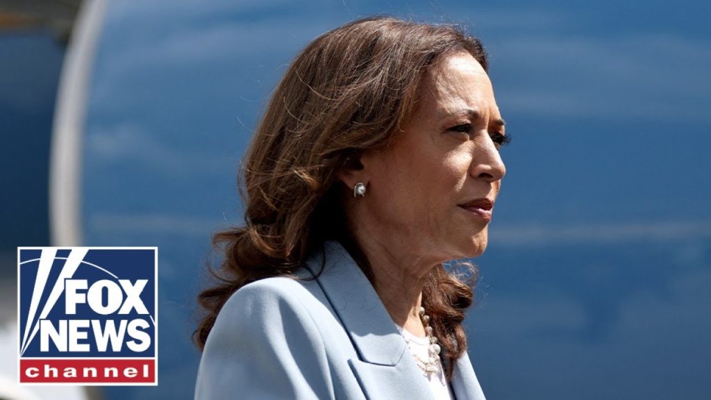 Harris surrogate admits she felt ‘misled’: ‘Billion-dollar disaster’