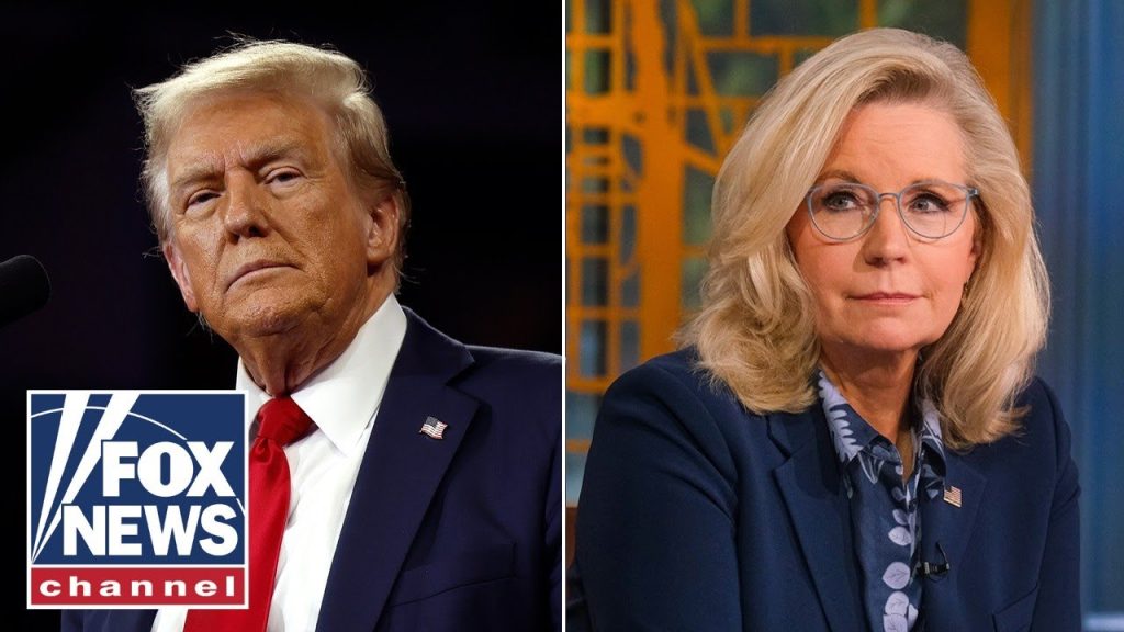 CNN, liberal outlets under fire for ‘distortions’ of Trump’s Liz Cheney criticism