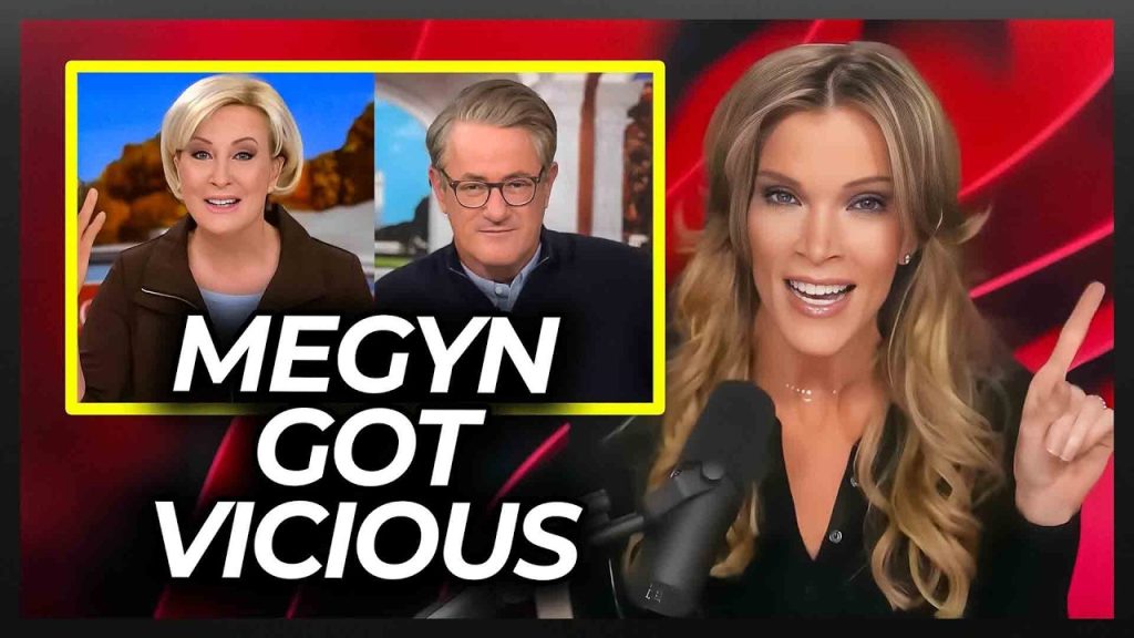 Megyn Kelly Makes Guest Go Quiet with Unexpected Rage at MSNBC Hosts