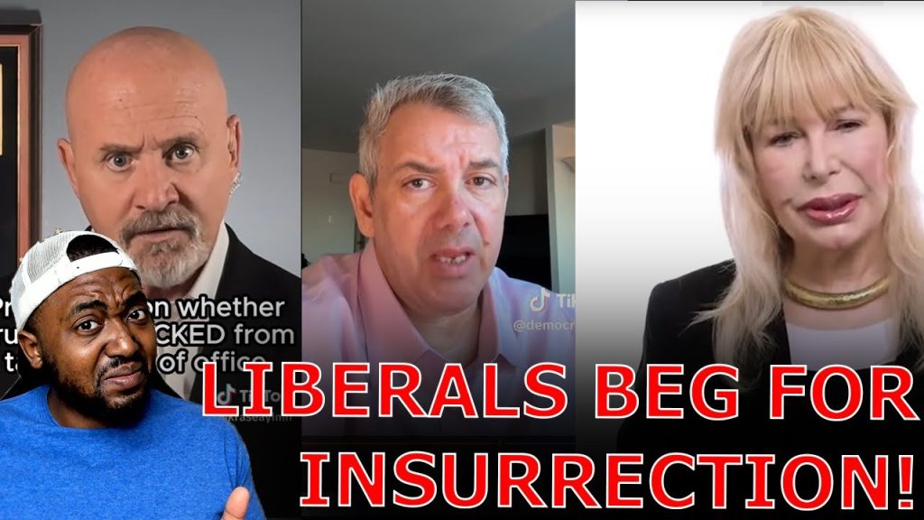 Trump DERANGED Liberals BEG DEMOCRATS TO OVERTURN Election Results To STOP Trump From Taking Office!