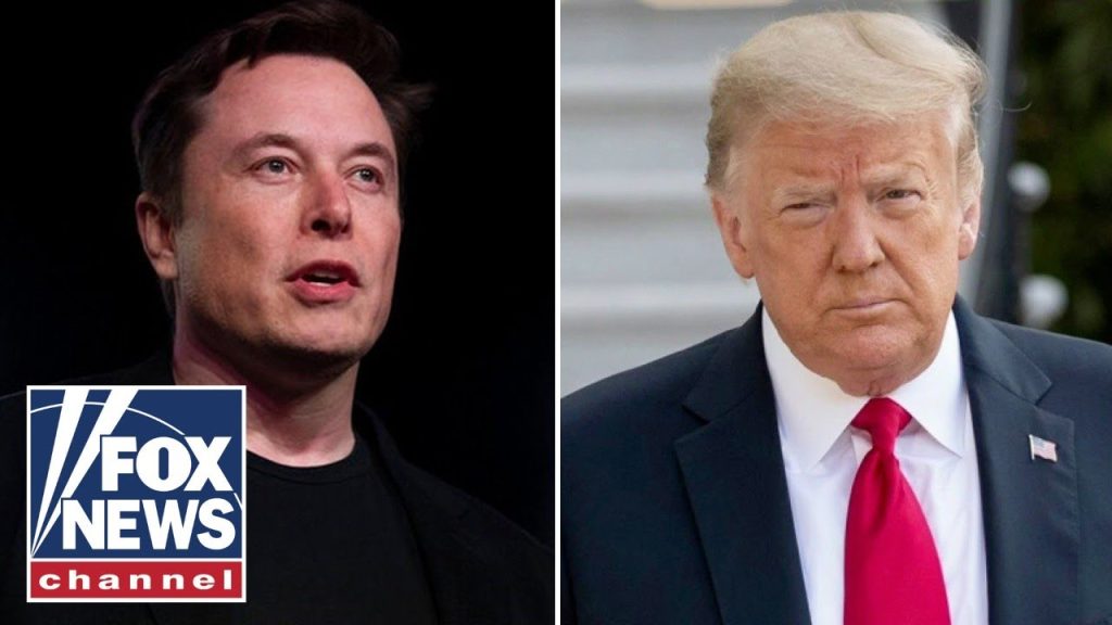 Trump sides with Elon Musk on H-1B visas following criticism: ‘A great program’