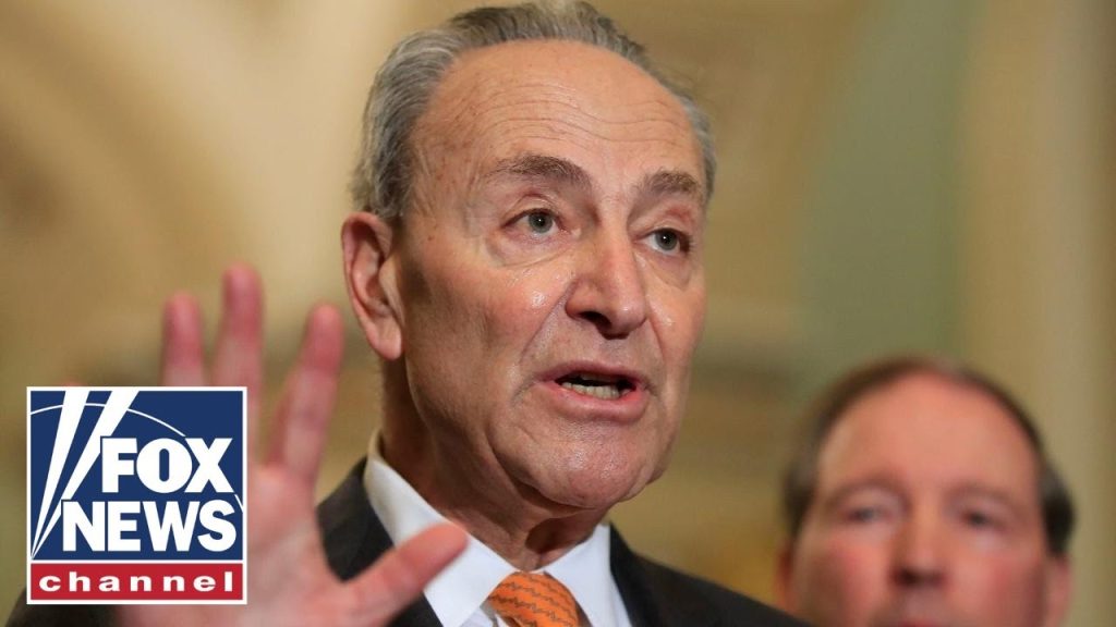 Schumer reportedly directed Dems to pressure Trump nominees: ‘SHAMEFUL’