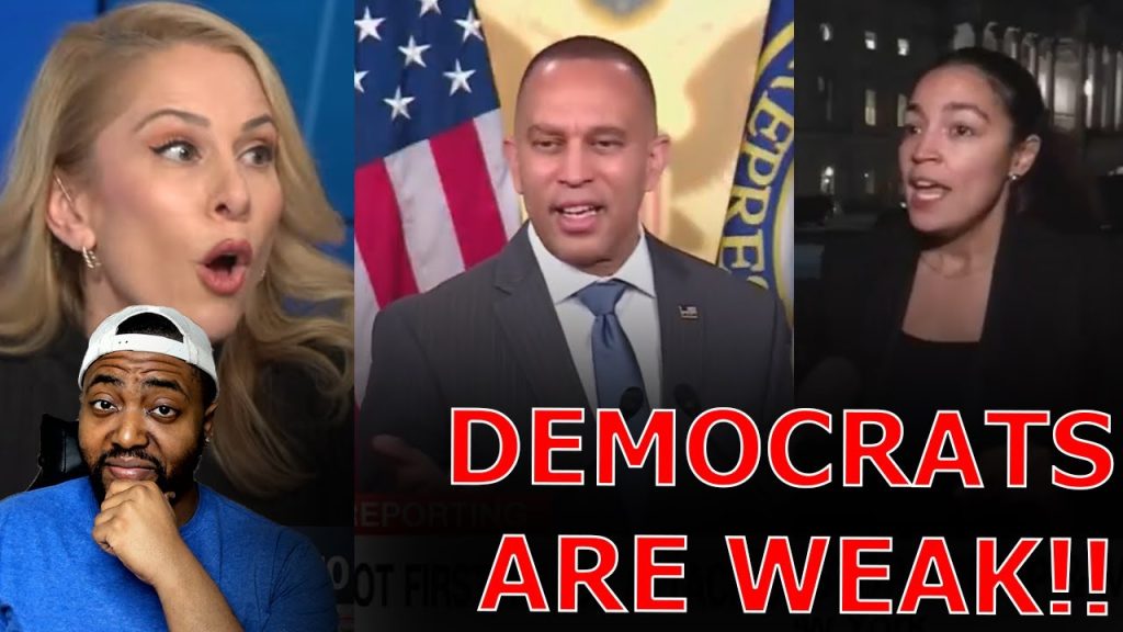 Liberals FUME Against WEAK Democrat Leaders Admitting DEFEAT To President Trump And Elon Musk!