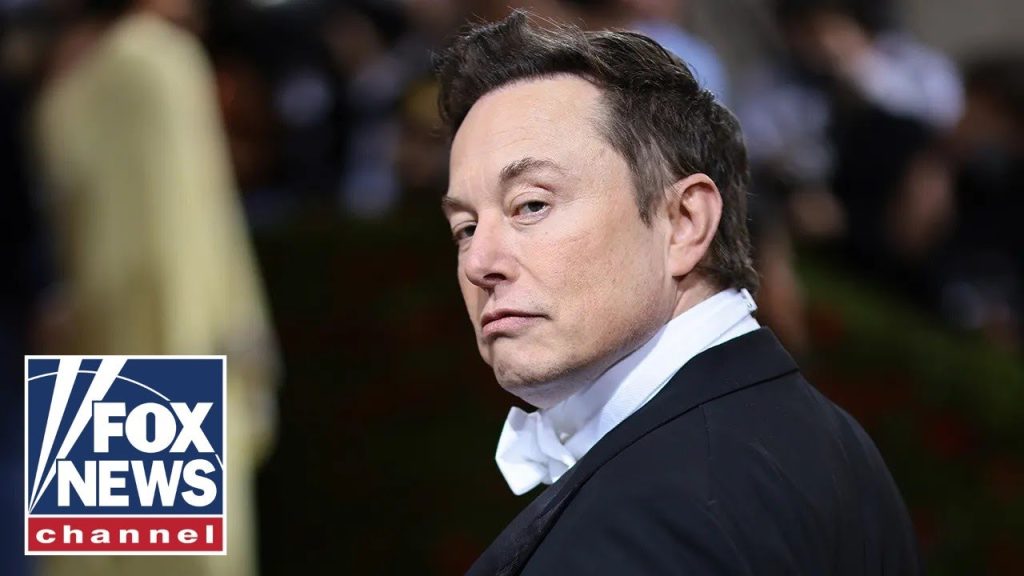 Elon Musk reveals shocking DOGE discoveries Elon Musk reveals shocking DOGE discoveries